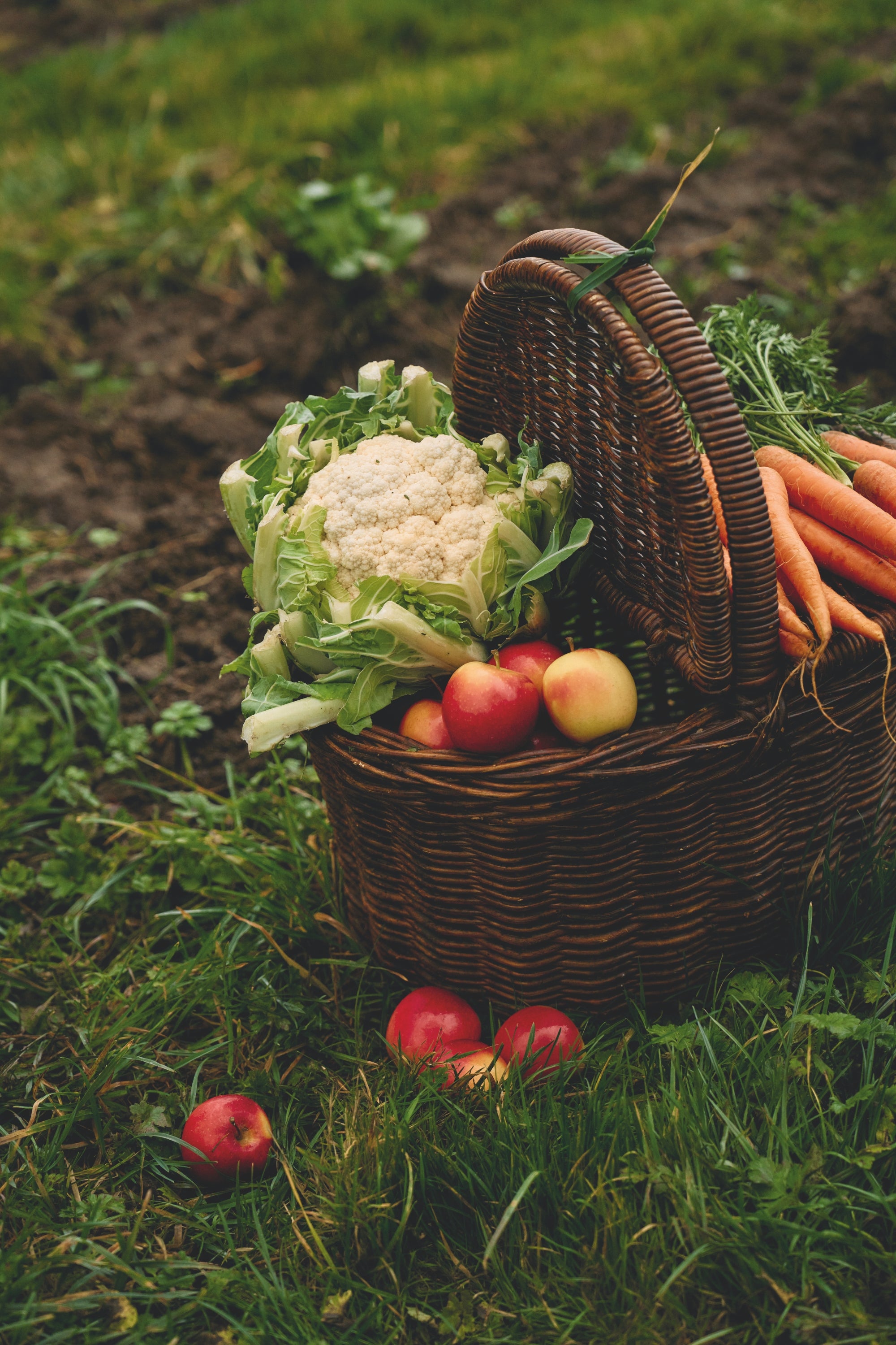 Panier rempli de fruits et légumes posé dans l'herbe